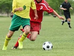 绿军客场险,胜篮网,波神,乐鱼足球,足球赛事资讯,足球比赛赛程,足球赛事动态,足球赛事平台