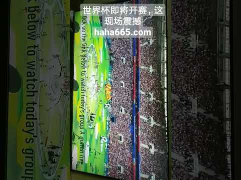 西班牙对荷,兰再战巅峰,复刻世界杯,乐鱼足球,足球赛事资讯,足球比赛赛程,足球赛事动态,足球赛事平台